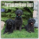 BrownTrout Publisher, Not Available (NA) - Portuguese Water Dogs 2017 Calendar
