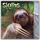 Avonside Publishing Ltd. - Sloths 2017