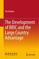 Yao Ouyang - The Development of BRIC and the Large Country Advantage