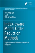 Giuseppe Ali, G. Alì, Giusepp Alì, Giuseppe Alì, Banagaaya, N Banagaaya... - Index-aware Model Order Reduction Methods