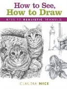 Claudia Nice - How to See, How to Draw