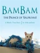 Little Anthony - BamBam, the Prince of Valprivas!