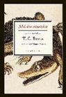 T. C. Boyle - Música acuática