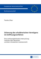Tianshu Zhao - Sicherung des schuldnerischen Vermögens im Eröffnungsverfahren