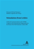 Matthias Augustin, Hermann Michael Niemann - Stimulation from Leiden