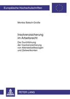 Monika Batsch-Große, Dr. Münch Treuhand GmbH - Insolvenzsicherung im Arbeitsrecht