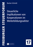 Bastian Schmidt - Steuerliche Implikationen von Kooperationen im Weiterbildungssektor