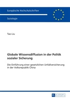 Tao Liu - Globale Wissensdiffusion in der Politik sozialer Sicherung