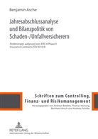 Benjamin Asche - Jahresabschlussanalyse und Bilanzpolitik von Schaden-/Unfallversicherern