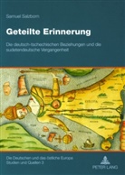 Samuel Salzborn - Geteilte Erinnerung