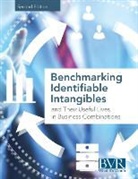 Bvr Staff - Benchmarking Identifiable Intangibles and Their Useful Lives in Business Combinations, Second Edition