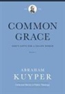 Abraham Kuyper, Jordan J Ballor, Melvin Flikkema, Stephen J Grabill, Nelson D. Kloosterman - Common Grace (Volume 1)