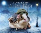Charles Dickens, Tess Gammell, Alex Goodwin, Tess Newall - A Guinea Pig Oliver Twist