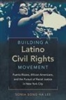 Sonia Song Lee, Sonia Song-Ha Lee - Building a Latino Civil Rights Movement