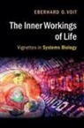 Eberhard Voit, Eberhard O Voit, Eberhard O. Voit, Eberhard O. (Georgia Institute of Technology Voit, Eberhard O. (Georgia Institute of Technology) Voit - Inner Workings of Life
