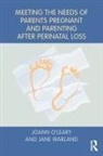 &amp;apos, Joann M. Warland leary, O&amp;apos, Joann O'Leary, Joann M O'Leary, Joann M. O'Leary... - Meeting the Needs of Parents Pregnant and Parenting After Perinatal