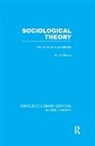 Keith Dixon, DIXON KEITH - Sociological Theory (Rle Social Theory)