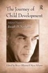 Joseph D. Noshpitz, Bruce (In Private Practice Sklarew, Bruce Sklarew Sklarew, Bruce Sklarew, Bruce (In Private Practice Sklarew, Myra Sklarew... - Journey of Child Development