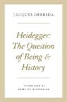 Geoffrey Bennington, Jacques Derrida - Heidegger