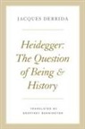 Geoffrey Bennington, Jacques Derrida - Heidegger