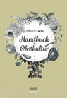 Eduard Lucas - Handbuch der Obstkultur