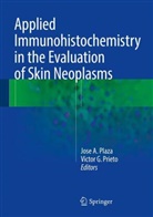 Jos A Plaza, Jose A Plaza, G Prieto, G Prieto, Jose Plaza, Jose A. Plaza... - Applied Immunohistochemistry in the Evaluation of Skin Neoplasms
