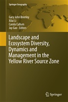 Gary John Brierley, Carola Cullum, Carola Cullum et al, Jay Gao, Xila Li, Xilai Li - Landscape and Ecosystem Diversity, Dynamics and Management in the Yellow River Source Zone