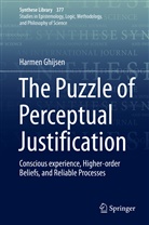 Harmen Ghijsen - The Puzzle of Perceptual Justification