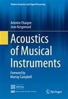 Antoin Chaigne, Antoine Chaigne, Jean Kergomard - Acoustics of Musical Instruments