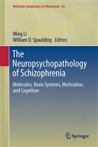 D Spaulding, D Spaulding, Min Li, Ming Li, William D. Spaulding - The Neuropsychopathology of Schizophrenia