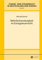 Michael Brandl - Mehrfachansässigkeit im Ertragsteuerrecht
