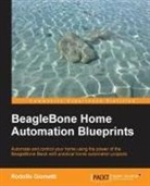 Rodolfo Giometti - BeagleBone Home Automation Blueprints