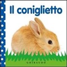 Dawn Sirett - Il coniglietto