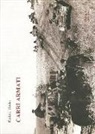 Rudolf Theiss - Carri armati