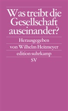 Wilhel Heitmeyer, Wilhelm Heitmeyer - Was treibt die Gesellschaft auseinander?