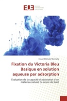 Benhafsa-f, Fouad Mekhalef Benhafsa - Fixation du victoria bleu basique