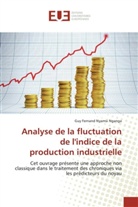 Nganga-g, Guy Fernand Nyamsi Nganga - Analyse de la fluctuation de