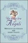 Jana Haas - Un anno tra gli angeli. Messaggi quotidiani dagli esseri celesti