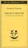 Friedrich Nietzsche - David Strauss. L'uomo di fede e lo scrittore