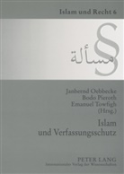 Janbernd Oebbecke, Bodo Pieroth, Emanuel Towfigh, Westfälische Wilhelms-Universität - Islam und Verfassungsschutz