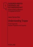 Javier Herrero Ruiz - Understanding Tropes