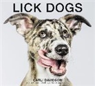 Carli Davidson - Lick Dogs