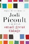 Jodi Picoult - Small Great Things
