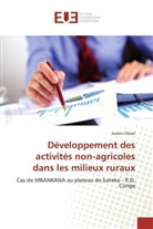 Joslain Omari, Omari-j - Developpement des activites non