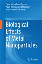Elena Mikhailovn Egorova, Elena Mikhailovna Egorova, Aslan Amirkha Kubatiev, Aslan Amirkhanovich Kubatiev, Vitaly Ivanovich Schvets - Biological Effects of Metal Nanoparticles