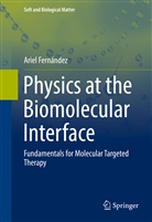 Ariel Fernandez, Ariel Fernández - Physics at the Biomolecular Interface