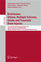 Alessandro Crimi, Heinz Handels, Oskar Maier, Oskar Maier et al, Bjoer Menze, Bjoern Menze... - Brainlesion: Glioma, Multiple Sclerosis, Stroke and Traumatic Brain Injuries