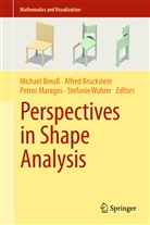 Michael Breuß, Alfre Bruckstein, Alfred Bruckstein, Petros Maragos, Petros Maragos et al, Stefanie Wuhrer - Perspectives in Shape Analysis