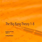 Klaus Hinrichsen - The Big Bang Theory 1 - 8