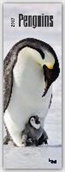 Penguins 2017 Slim